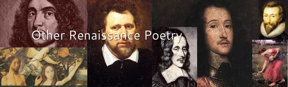 the term metaphysical poets was first used by